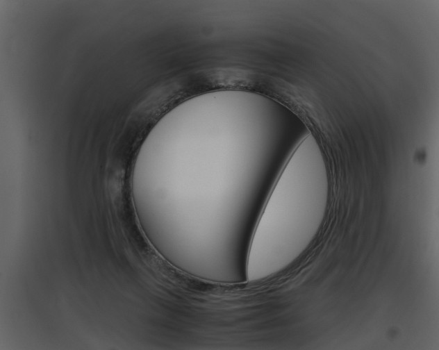 X0000097840263200803140841