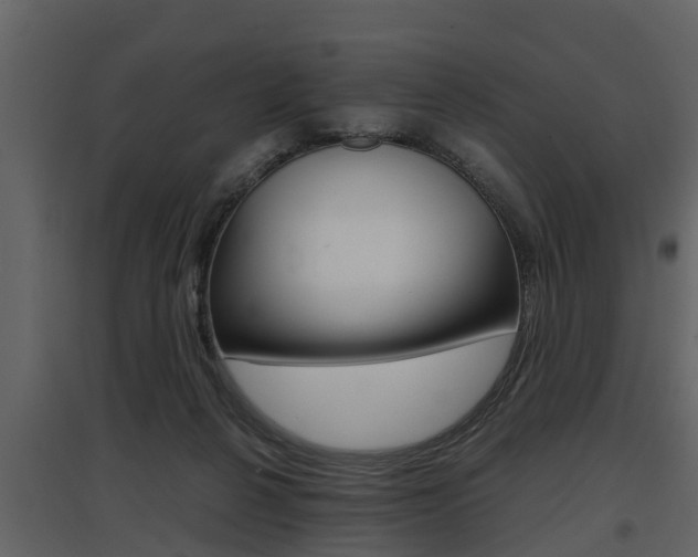 X0000097840264200803140841