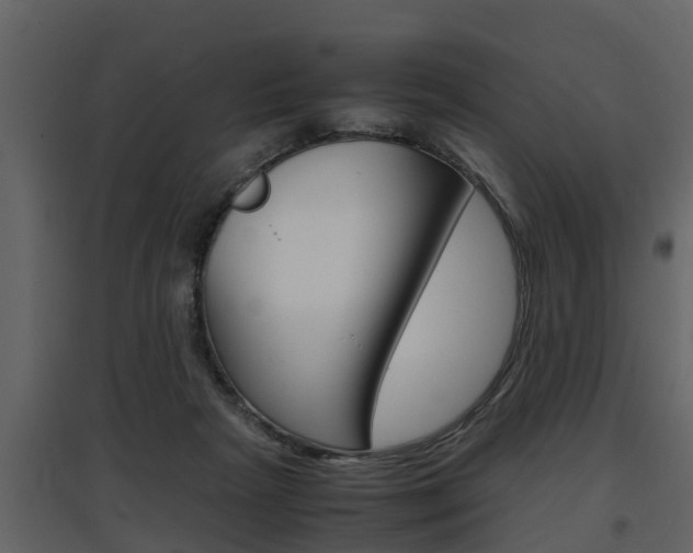 X0000097840265200803140841