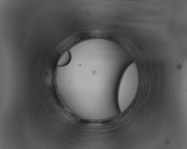 X0000097840266200803140841
