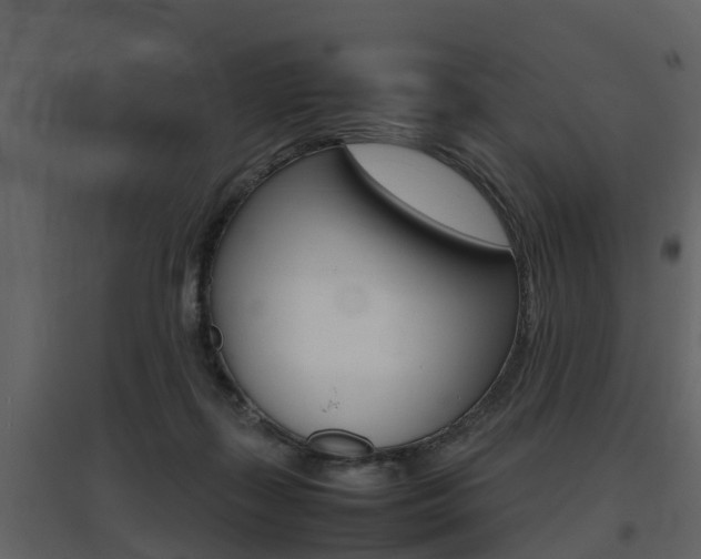 X0000097840267200803140841
