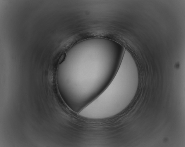 X0000097840268200803140841