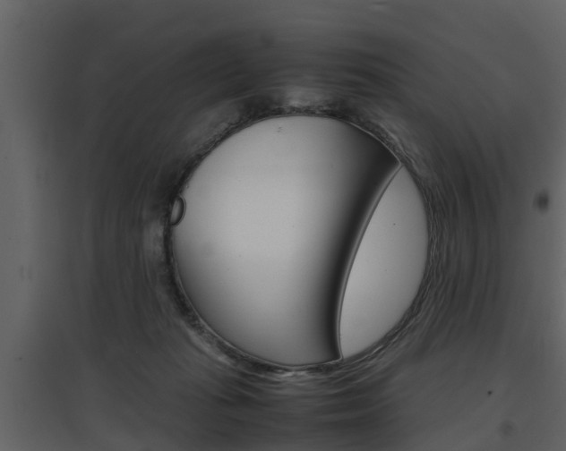 X0000097840269200803140841