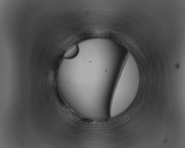 X0000097840270200803140841