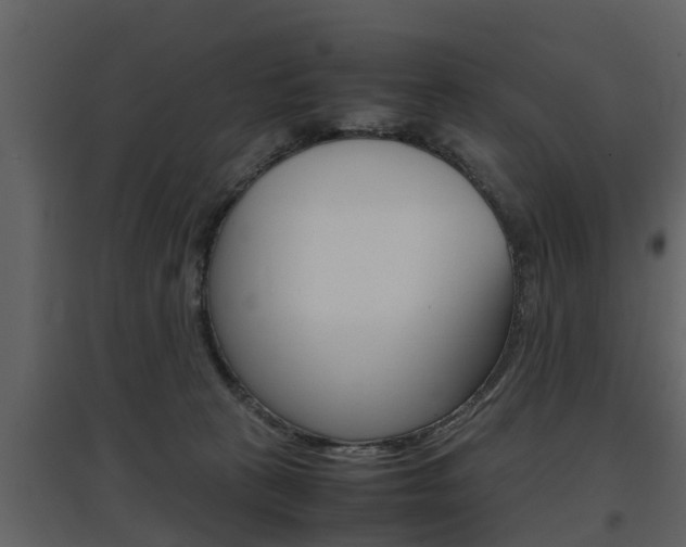 X0000097840273200803140841