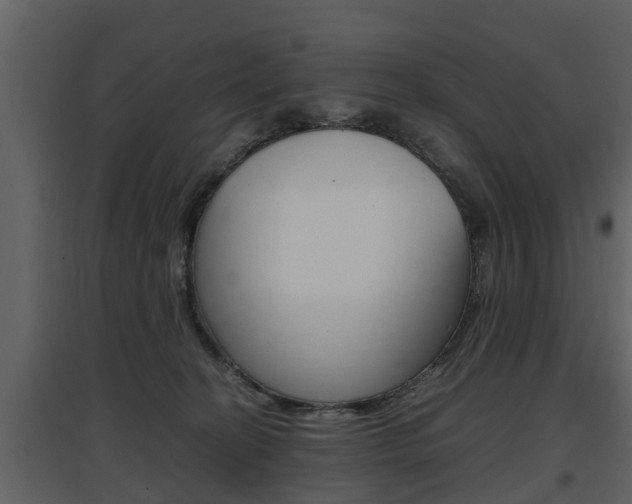 X0000097840274200803140841