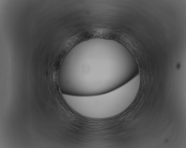 X0000097840276200803140841