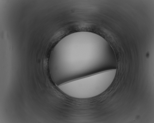 X0000097840278200803140841