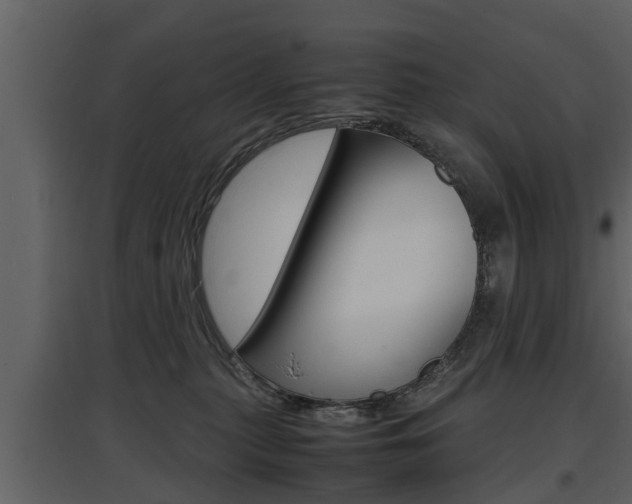 X0000097840279200803140841