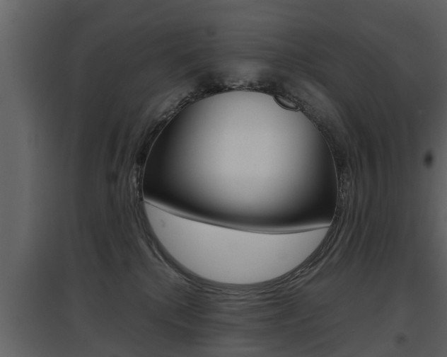 X0000097840280200803140841