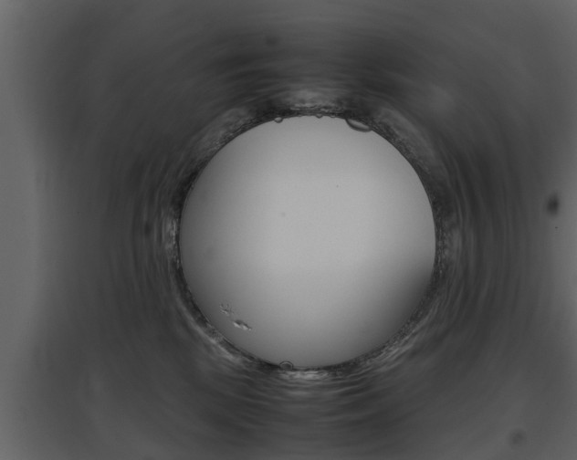 X0000097840281200803140841