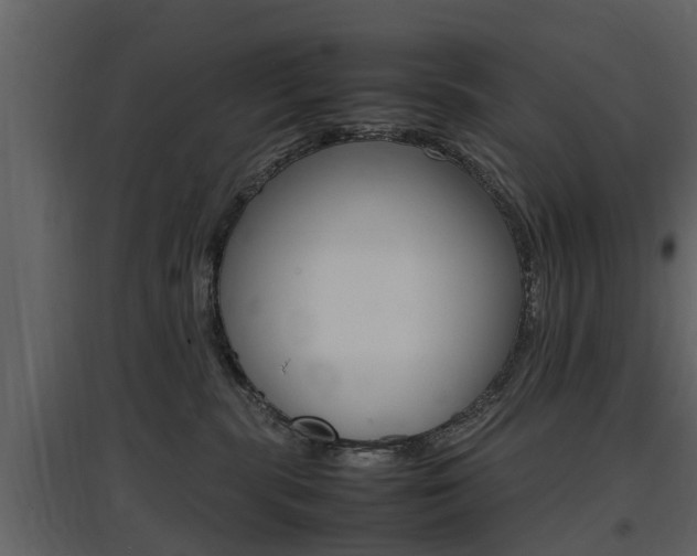 X0000097840283200803140841