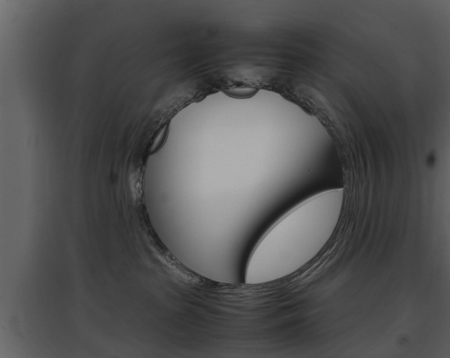 X0000097840285200803140841