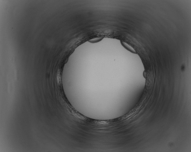 X0000097840287200803140841