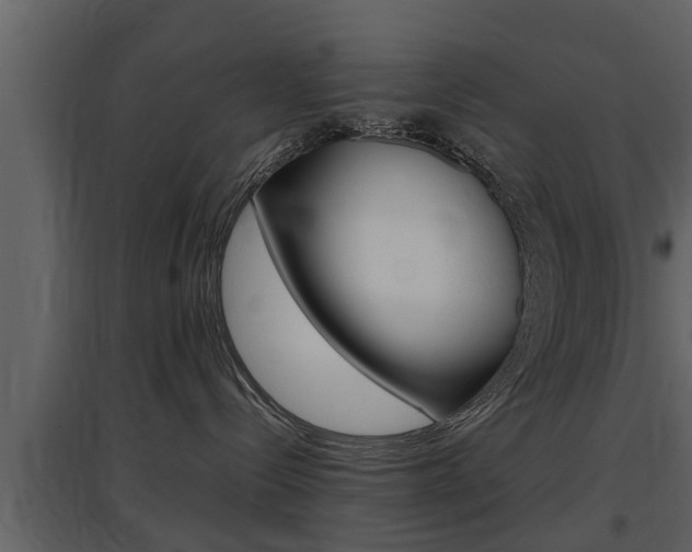 X0000097840288200803140841