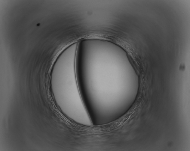X0000097840289200803140840
