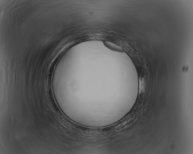X0000097840291200803140840