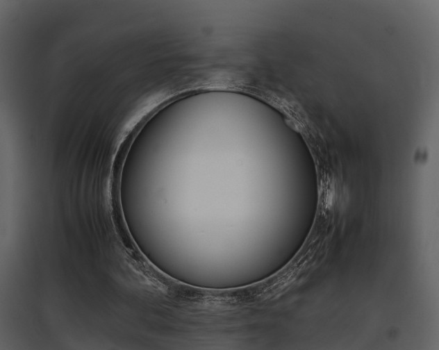 X0000097840292200803140840