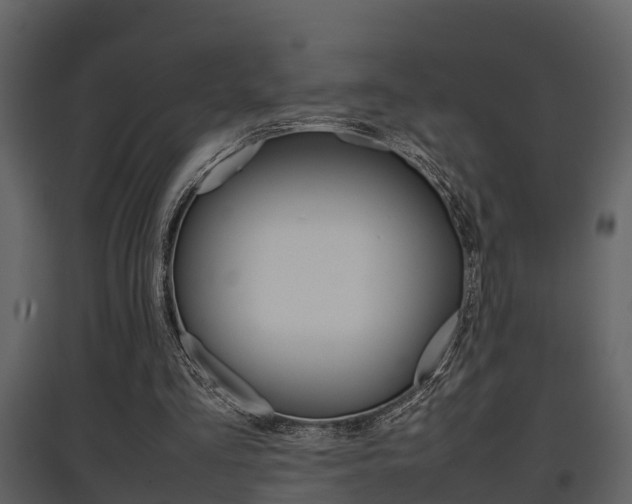 X0000097840293200803140840