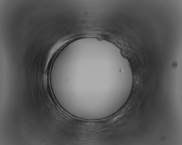X0000097840294200803140840