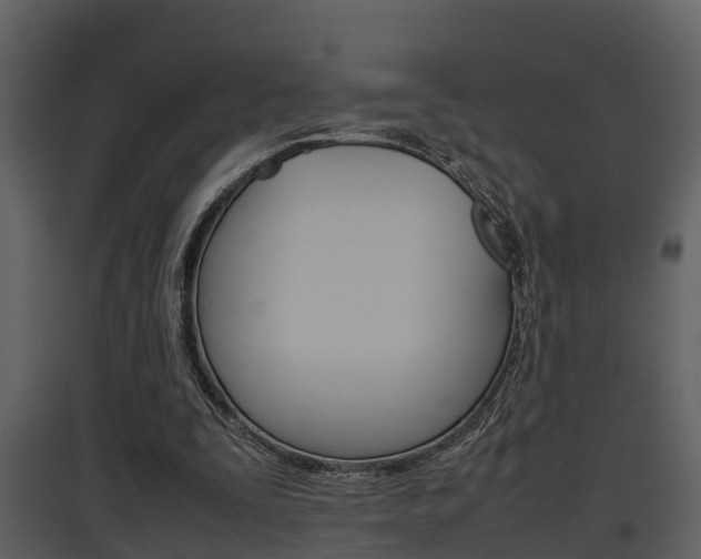 X0000097840295200803140840