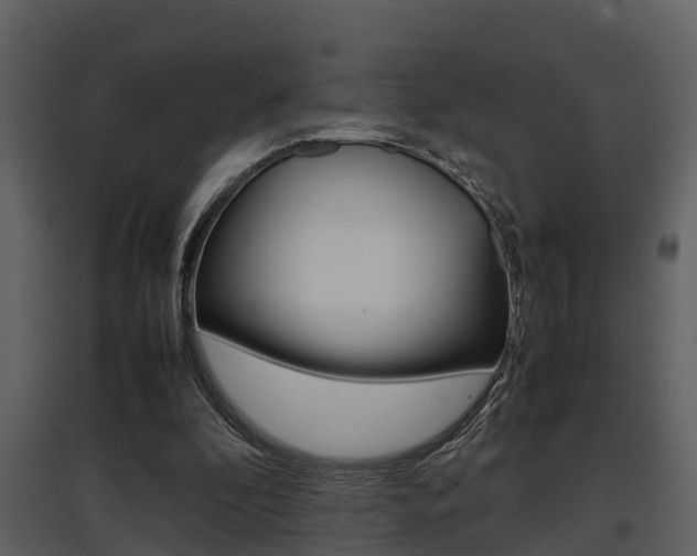X0000097840296200803140840