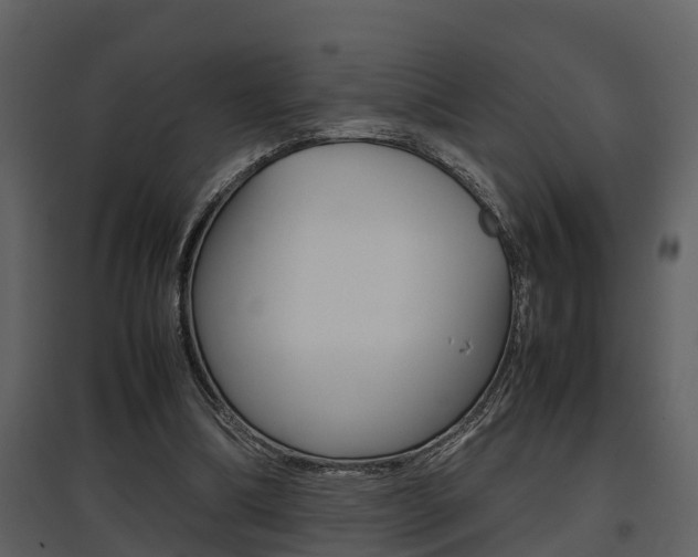 X0000097840298200803140840