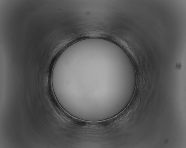 X0000097840299200803140840