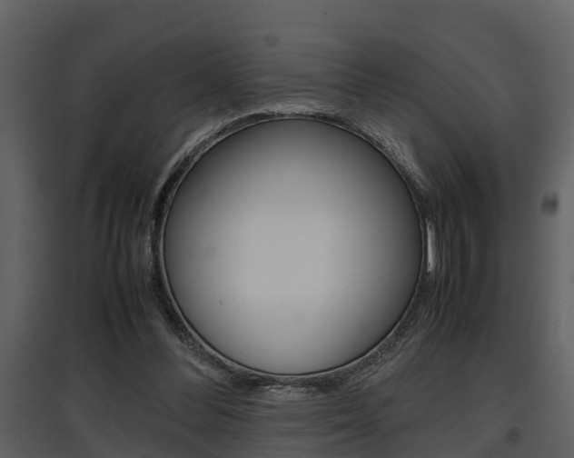 X0000097840300200803140840