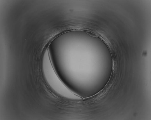 X0000097840301200803140840