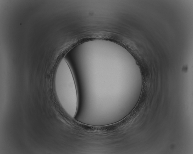 X0000097840303200803140840