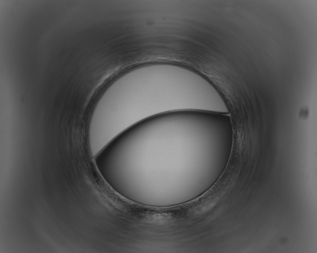 X0000097840304200803140840