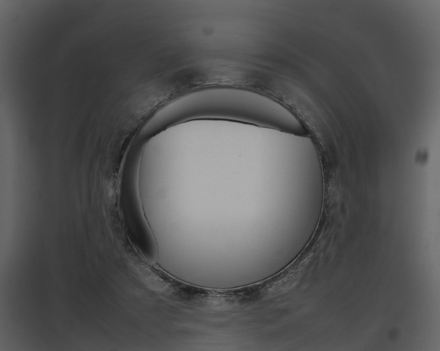 X0000097840305200803140840