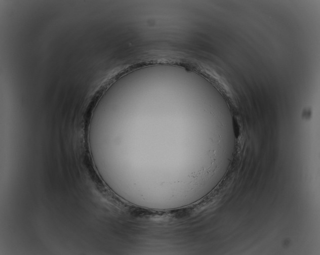 X0000097840306200803140840