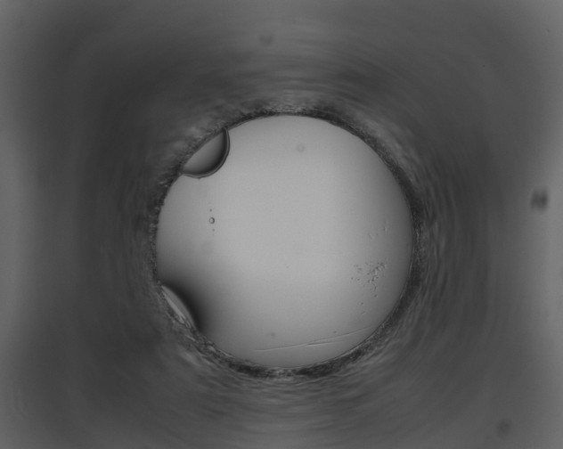 X0000097840307200803140840