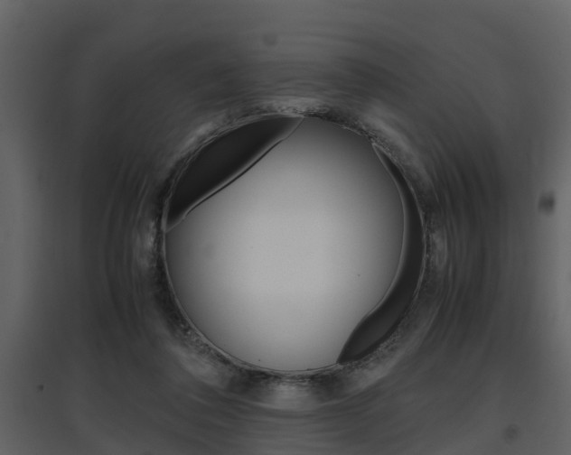 X0000097840308200803140840