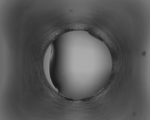 X0000097840309200803140840