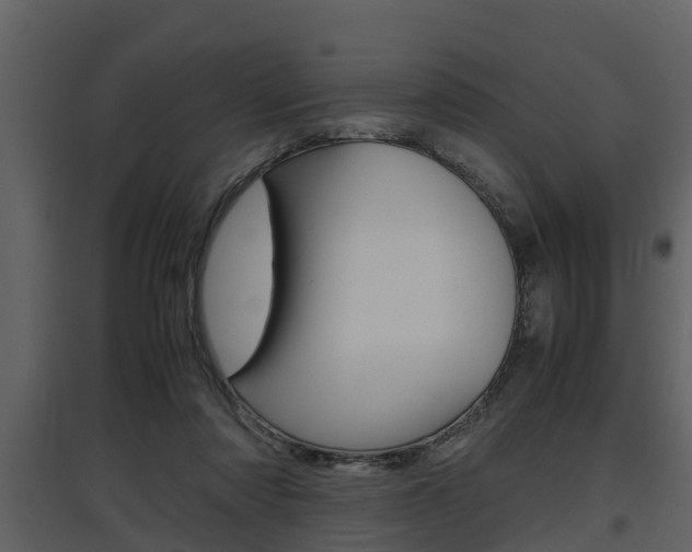 X0000097840310200803140840