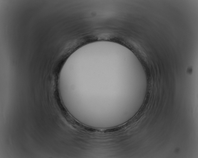 X0000097840311200803140840