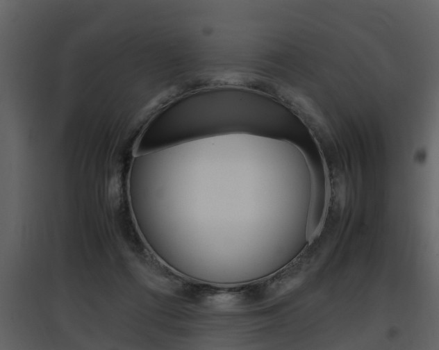 X0000097840312200803140840