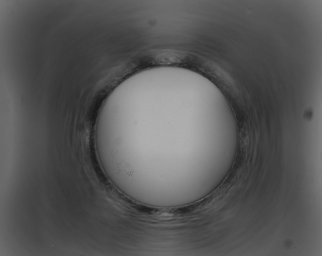 X0000097840315200803140840
