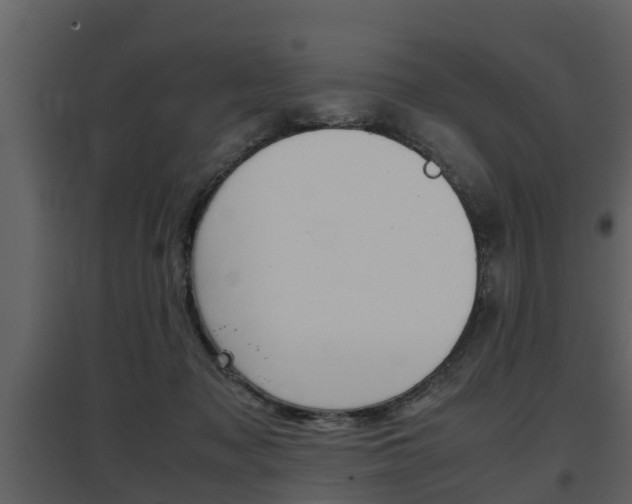 X0000097840317200803140840