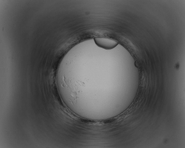 X0000097840318200803140840