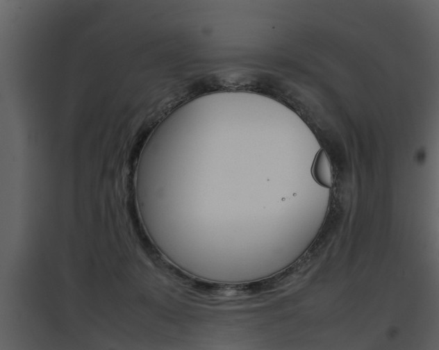 X0000097840319200803140840