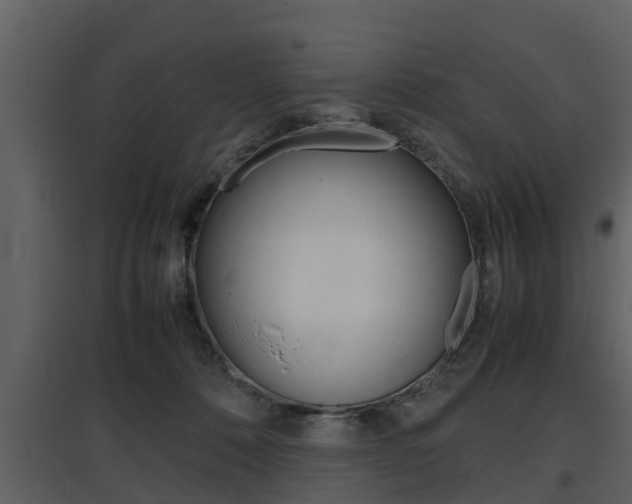 X0000097840320200803140840