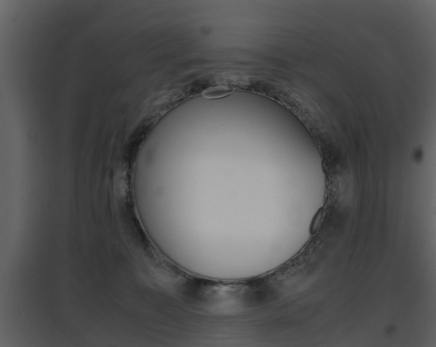 X0000097840323200803140840