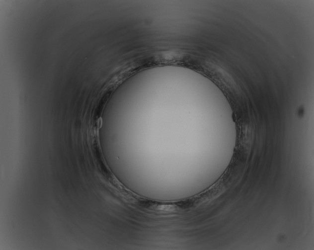 X0000097840324200803140840