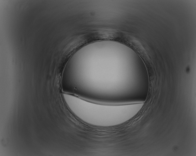 X0000097840325200803140840