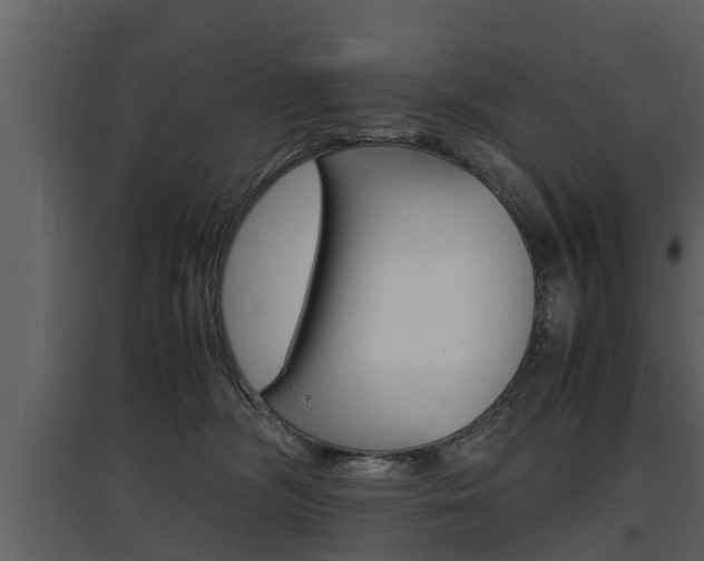 X0000097840326200803140840