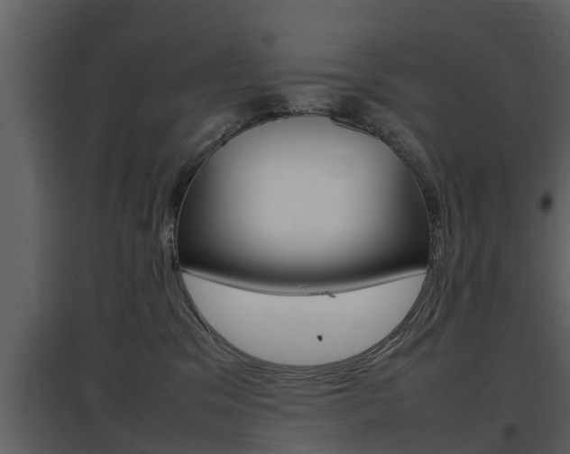 X0000097840329200803140840